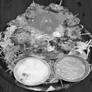 Sanjeevini kebab