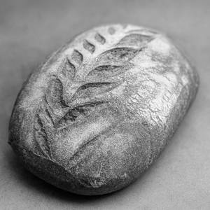 100% Whole Wheat Sourdough
