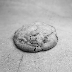 Chocolate Chip Enigma