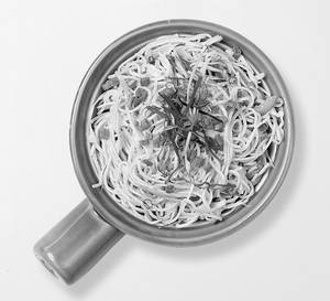 Hakka Noodles Chicken