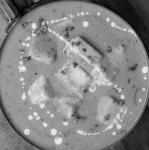 Paneer Makhani ( 300gm )