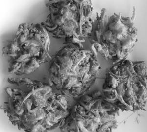 Aloo Payaz Pakoda [5 Pcs]