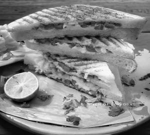 Veg cheese grilled sndwich