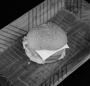 Chicken Cheese Burger