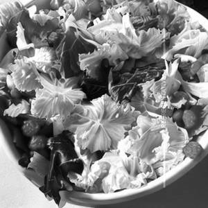 Tossed Salad