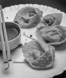Veg Crispy Wontons