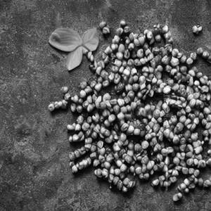 Black Pepper Corn