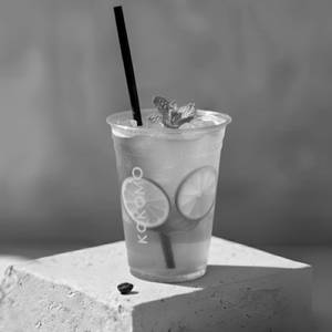 Classic Mint Mojito