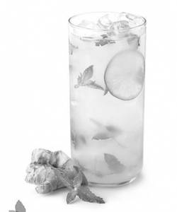 Ginger & Lime - Mojito