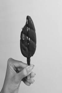 Dark Chocolate Sea Salt BONO Bar