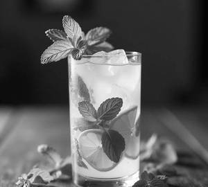 Mojito