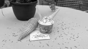 French Vanilla (5 Scoops)