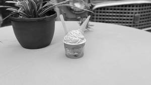 Bubly (5 Scoops)