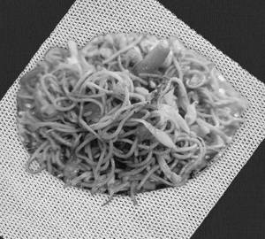 Paneer chowmein