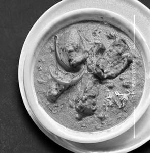 Mushroom Tikka Masal