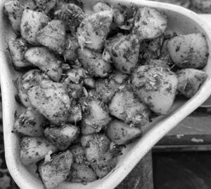 Jeera aloo