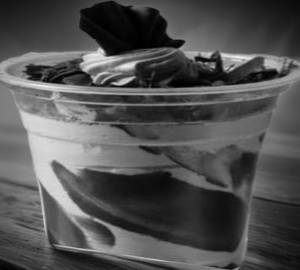 Chocolate Mousse