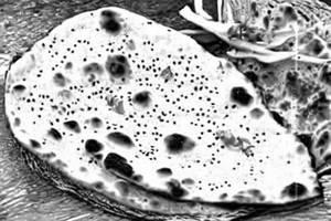 Kandhari Naan