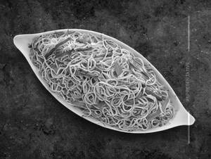 Veg Noodles