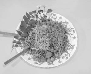 Chicken Noodles