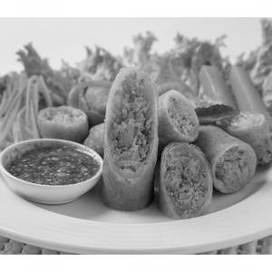 Veg Spring Roll