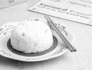 Lemak Rice