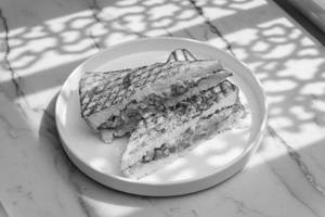 Veg Grilled Sandwich