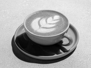 Hot Matcha Latte( 240ml)