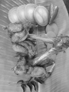 Chicken umberla