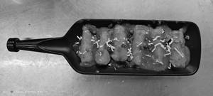 Paneer Satay