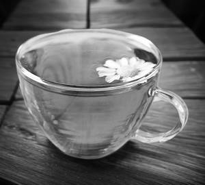 Chamomile