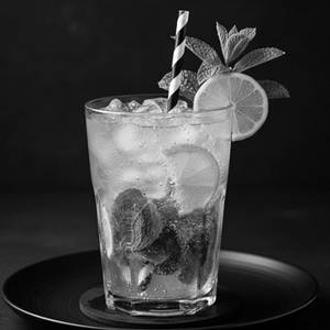 Mojito Mint