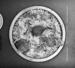 Chicken Family Pack Biryani