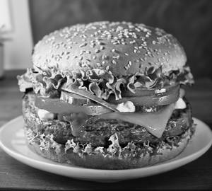 HAMBURGER