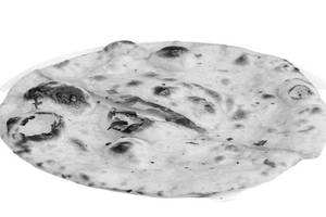 Tandoori Butter Roti