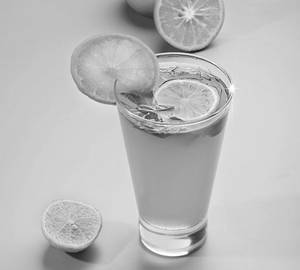 Citrus Punch Mojito