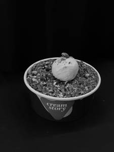 Um Ali Pistachio