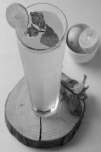 Pristine Mojito