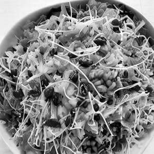 Protein (sprout) Salad