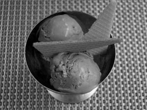 Chocolate Ice Cream [2 Scoops]