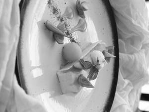 Torta Di Mango Alla Mousse