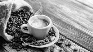 Tiramisu Coffee