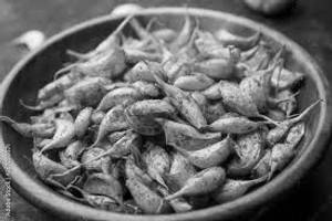 Lasun Fry