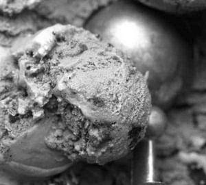 Mocha Brownie   Ice Cream