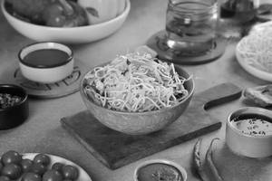 Veg Hakka Noodles