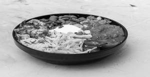 Hot Paneer Rice Bowl