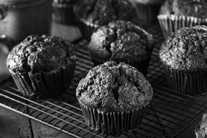 Double Trouble Muffin
