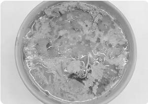 Dal Fry