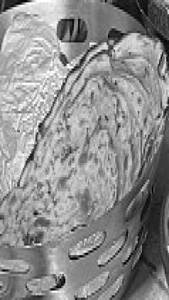 Lacchha Paratha