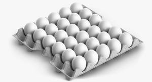 Egg Tray 30Pcs